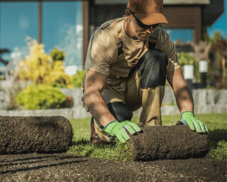 Skilled worker servicing the landscape